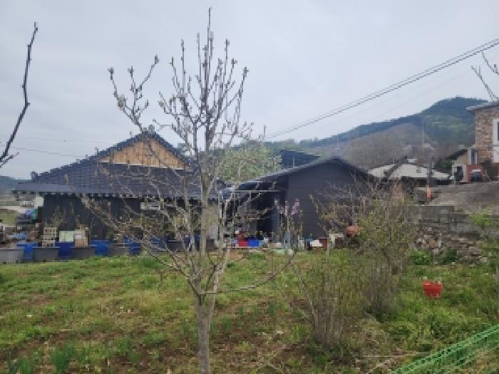 전북 김제시 금산면 대지 경매 물건 사진