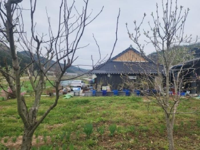 전북 김제시 금산면 대지 경매 물건 사진 2 · 2026타경163