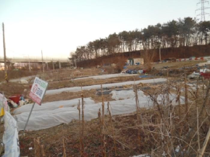 전북 전주시 완산구 중인동 전답 경매 물건 사진