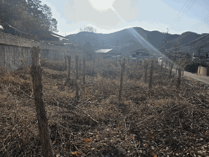 전북 완주군 소양면 답 경매 물건 사진 4 · 2026타경30010