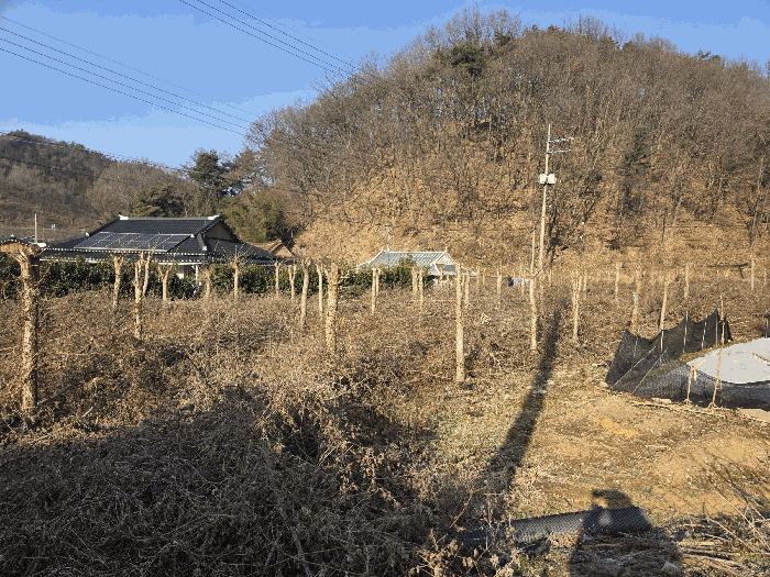 전북 완주군 소양면 답 경매 물건 사진 5 · 2026타경30010