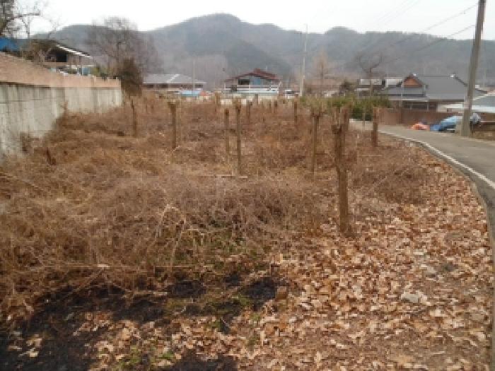 전북 완주군 소양면 답 경매 물건 사진