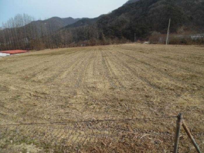 전북 전주시 완산구 색장동 전답 경매 물건 사진 2 · 2026타경30086
