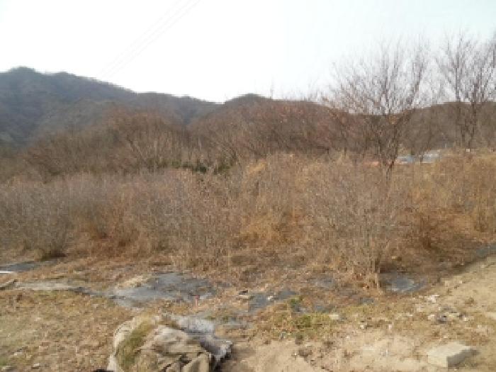 전북 전주시 완산구 색장동 전답 경매 물건 사진 4 · 2026타경30086