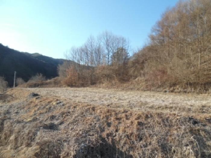전북 진안군 백운면 답 경매 물건 사진