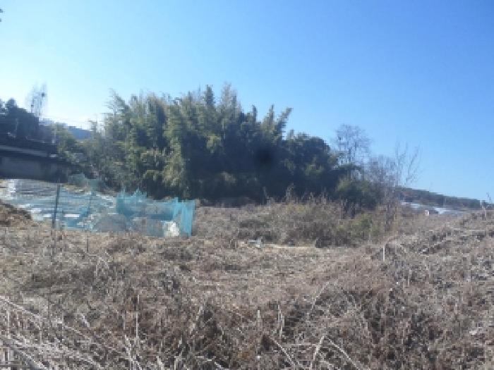 전북 전주시 덕진구 장동 대지,임야,전답 경매 물건 사진