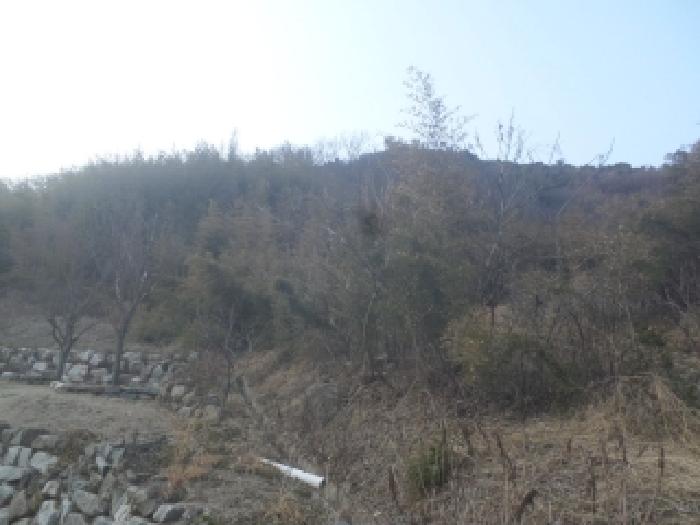 전북 임실군 청웅면 임야 경매 물건 사진 4 · 2026타경30177