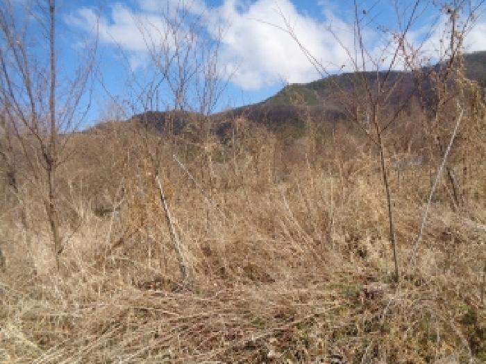 전북 전주시 완산구 대성동 전답 경매 물건 사진