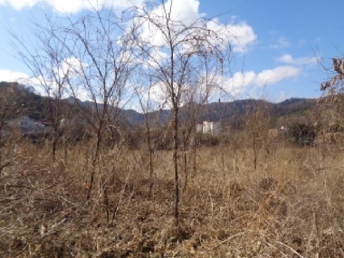 전북 전주시 완산구 대성동 전답 경매 물건 사진 4 · 2026타경30200