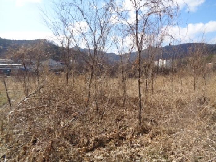 전북 전주시 완산구 대성동 전답 경매 물건 사진 5 · 2026타경30200