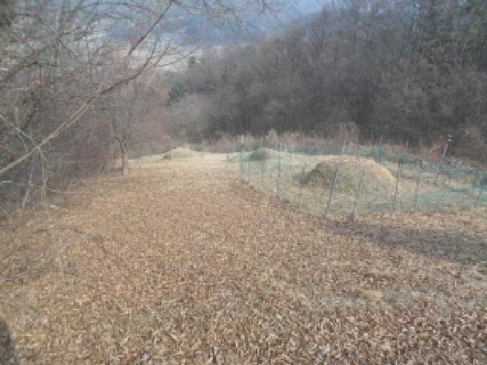 전북 전주시 완산구 석구동 도로 경매 물건 사진