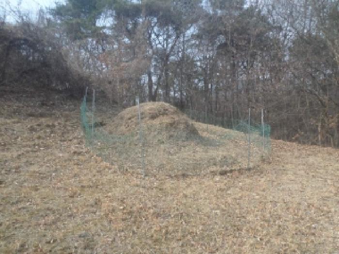 전북 전주시 완산구 석구동 도로 경매 물건 사진 4 · 2026타경30212