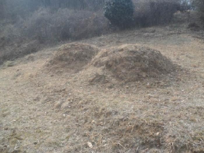 전북 전주시 완산구 석구동 도로 경매 물건 사진 5 · 2026타경30212