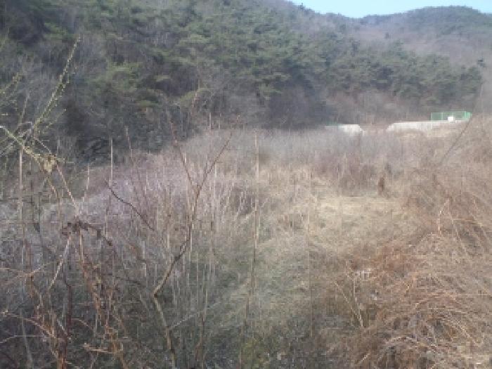 전북 완주군 구이면 전답 경매 물건 사진