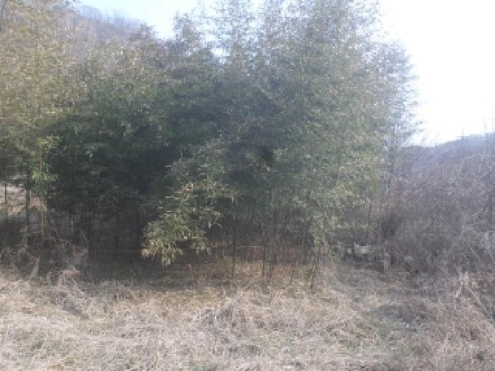 전북 완주군 구이면 대지 경매 물건 사진 2 · 2026타경30241