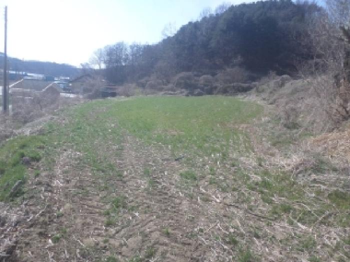 전북 임실군 성수면 전답 경매 물건 사진