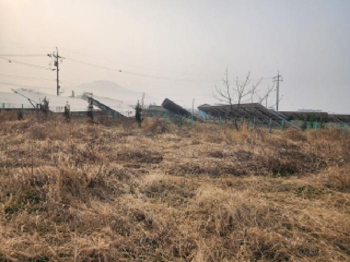 전북 김제시 봉남면 전답 경매 물건 사진 5 · 2026타경30278