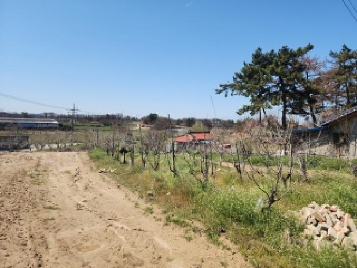 전북 김제시 용지면 임야 경매 물건 사진 5 · 2026타경30290