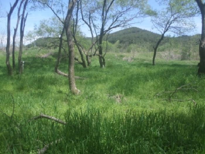 전북 임실군 삼계면 제방 경매 물건 사진