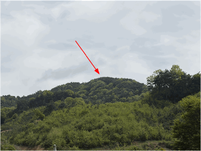 전북특별자치도 임실군 성수면 삼봉리 산21 임야 경매 물건 사진