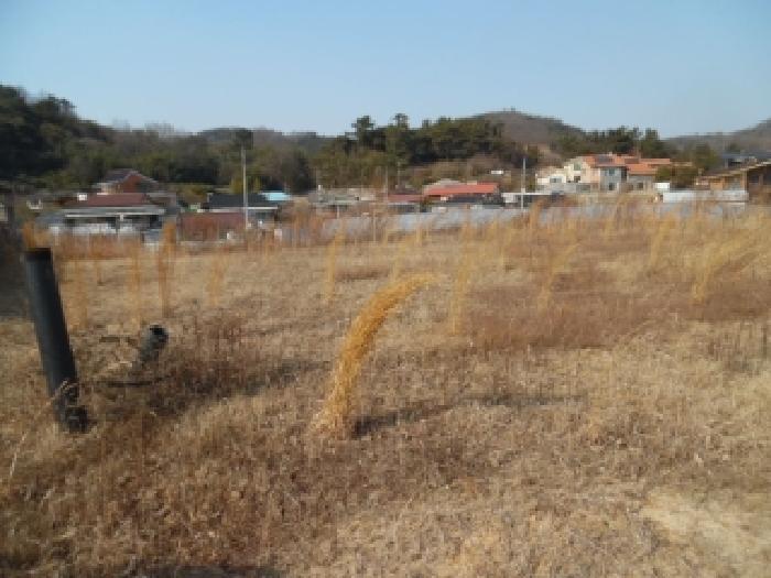 전북 전주시 완산구 대지 경매 물건 사진 4 · 2026타경66