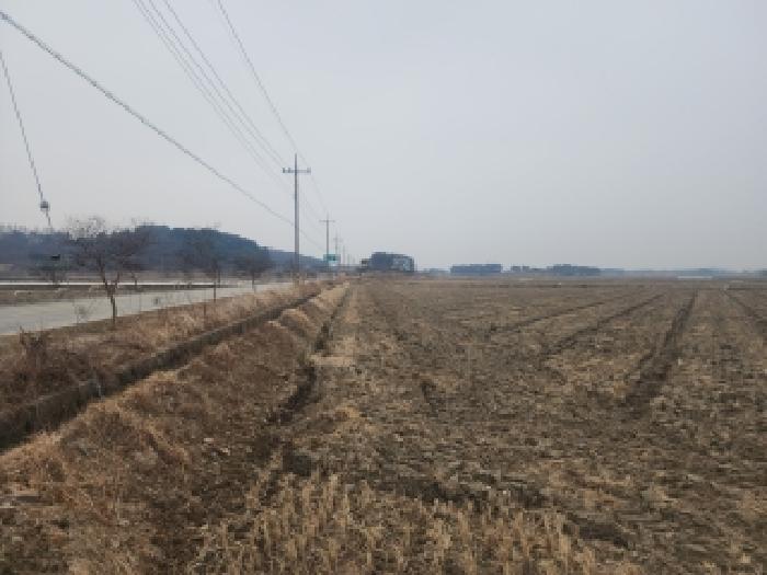 전북 김제시 청하면 대지,임야,전답 경매 물건 사진