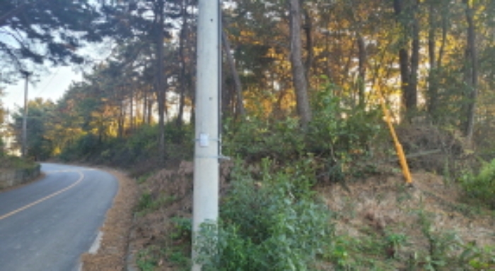 전북 익산시 용동면 임야 경매 물건 사진 6 · 2024타경27262