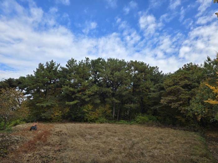 전북 익산시 용동면 임야 경매 물건 사진 3 · 2024타경27262