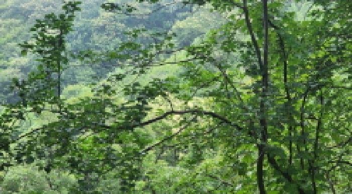 전북 군산시 미룡동 임야 경매 물건 사진 5 · 2025타경20969