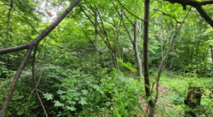 전북 군산시 개정면 임야 경매 물건 사진 2 · 2025타경20976