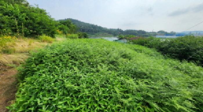 전북 군산시 나포면 전답 경매 물건 사진