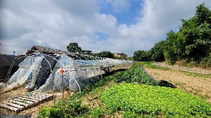 전북 익산시 낭산면 답 경매 물건 사진 2 · 2025타경20983