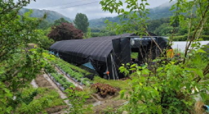 전북 익산시 금마면 대지,임야,전답 경매 물건 사진 5 · 2025타경21010