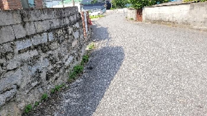 전북 익산시 망성면 도로 경매 물건 사진