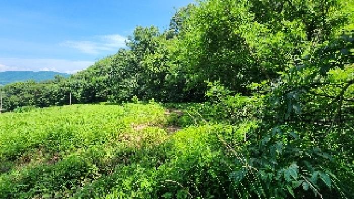 전북 군산시 나포면 임야 경매 물건 사진 4 · 2025타경21038