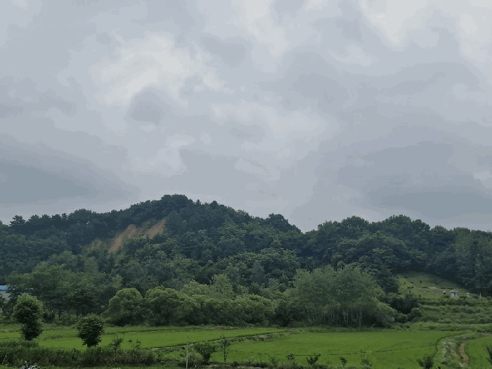 전북 익산시 왕궁면 임야 경매 물건 사진 5 · 2025타경21058