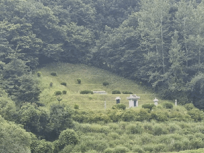 전북 익산시 왕궁면 임야 경매 물건 사진 6 · 2025타경21058