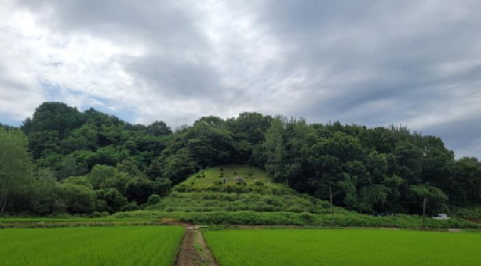 전북 익산시 왕궁면 임야 경매 물건 사진