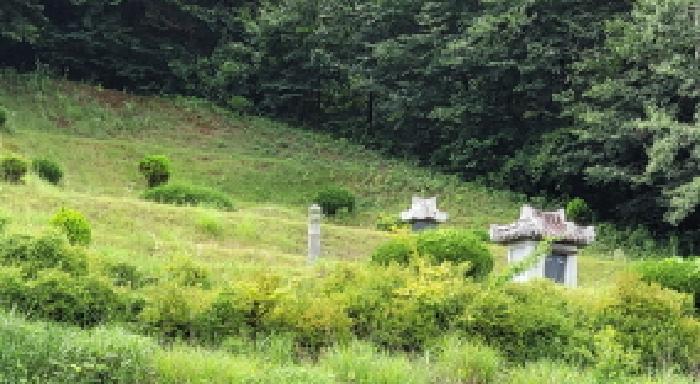 전북 익산시 왕궁면 임야 경매 물건 사진 3 · 2025타경21058