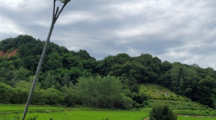 전북 익산시 왕궁면 임야 경매 물건 사진 4 · 2025타경21058