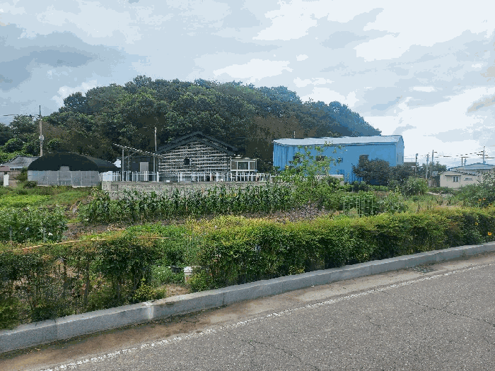 전북 군산시 대야면 전답 경매 물건 사진 2 · 2025타경21061