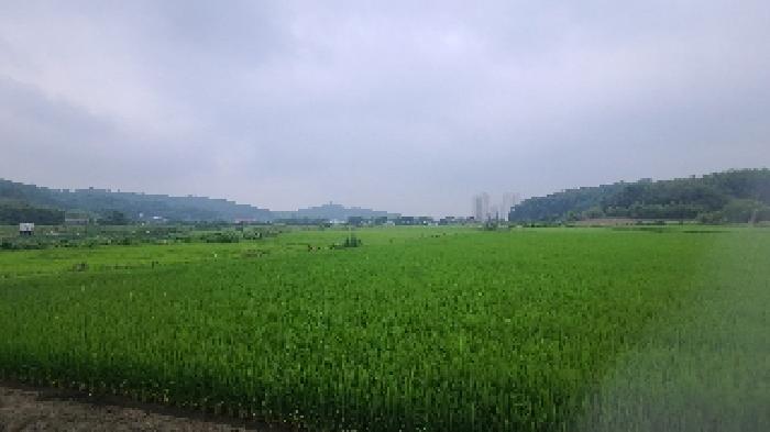 전북 군산시 개정동 임야 경매 물건 사진