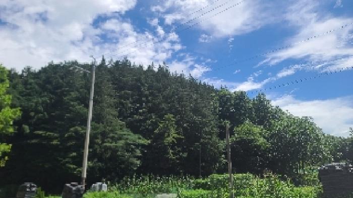 전북 군산시 개정면 전답 경매 물건 사진 5 · 2025타경21096