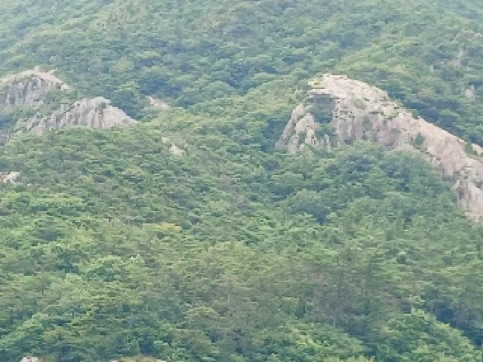 전북 군산시 옥도면 임야 경매 물건 사진