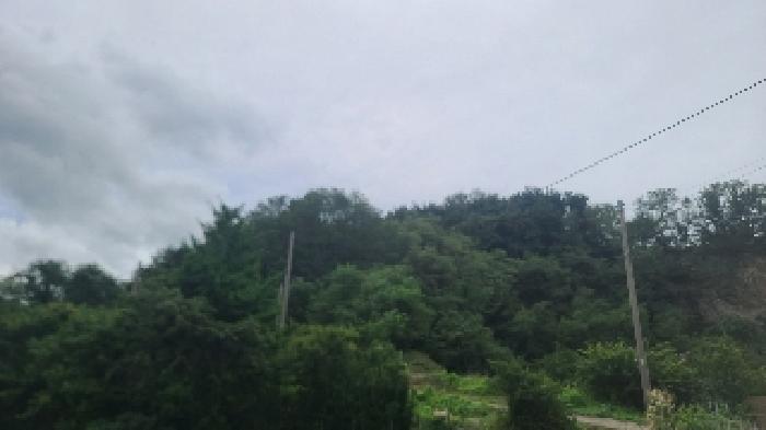 전북 군산시 옥서면 임야 경매 물건 사진 3 · 2025타경21150