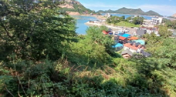 전북 군산시 옥도면 임야 경매 물건 사진