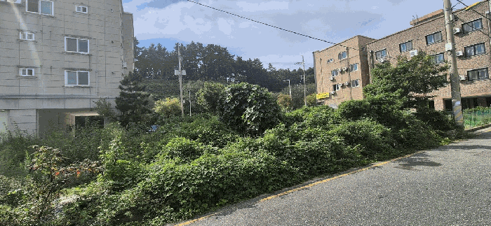 전북 군산시 오식도동 대지 경매 물건 사진 5 · 2025타경21230