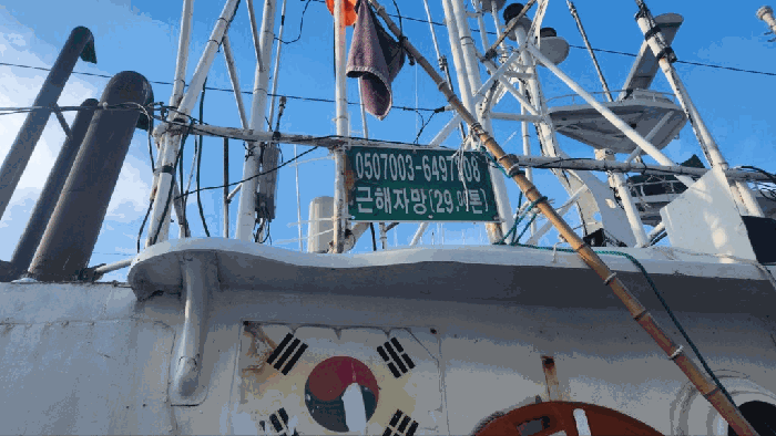 충남 보령시 신흑동 선박 경매 물건 사진 3 · 2025타경21239