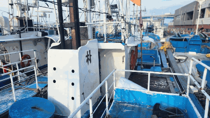 충남 보령시 신흑동 선박 경매 물건 사진 4 · 2025타경21239