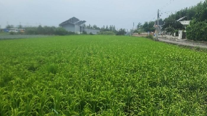 전북 군산시 성산면 전답 경매 물건 사진